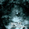 two new releases out featuring cage-related tracks